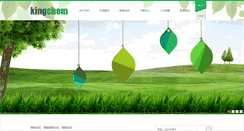 Desktop Screenshot of kingchem.net